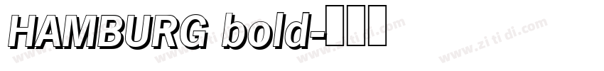 HAMBURG bold字体转换